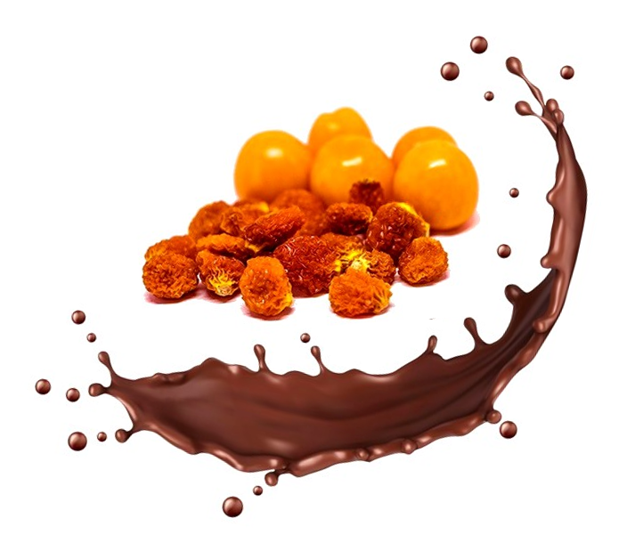 Aguaymanto deshidratado cubierto con chocolate 70% cacao endulzado con panela, snack gourmet peruano.