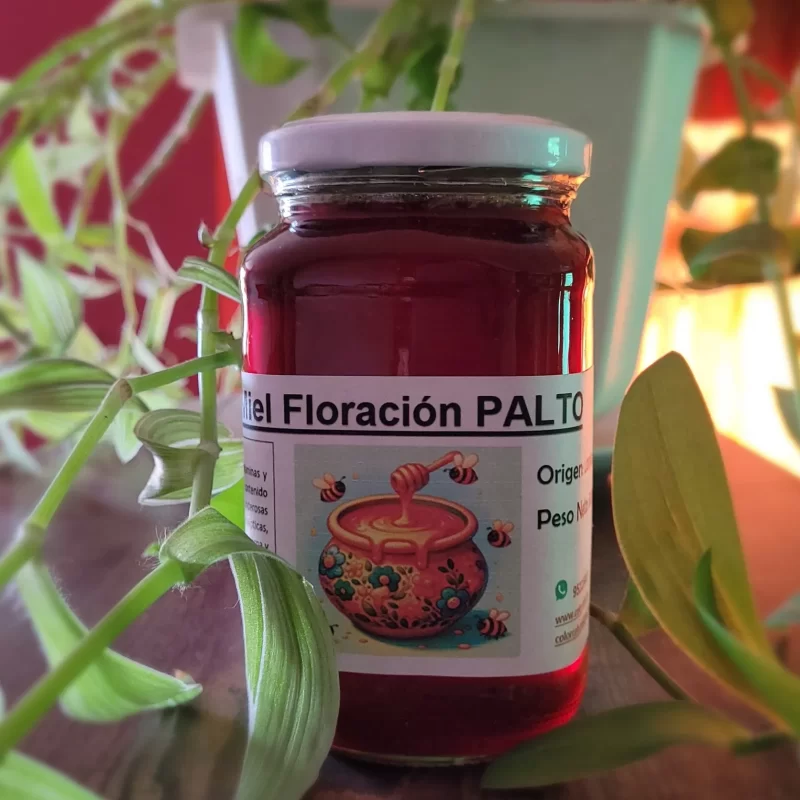 Miel de floración de palto Color Café, producto natural del norte del Perú con color ámbar y aroma floral.