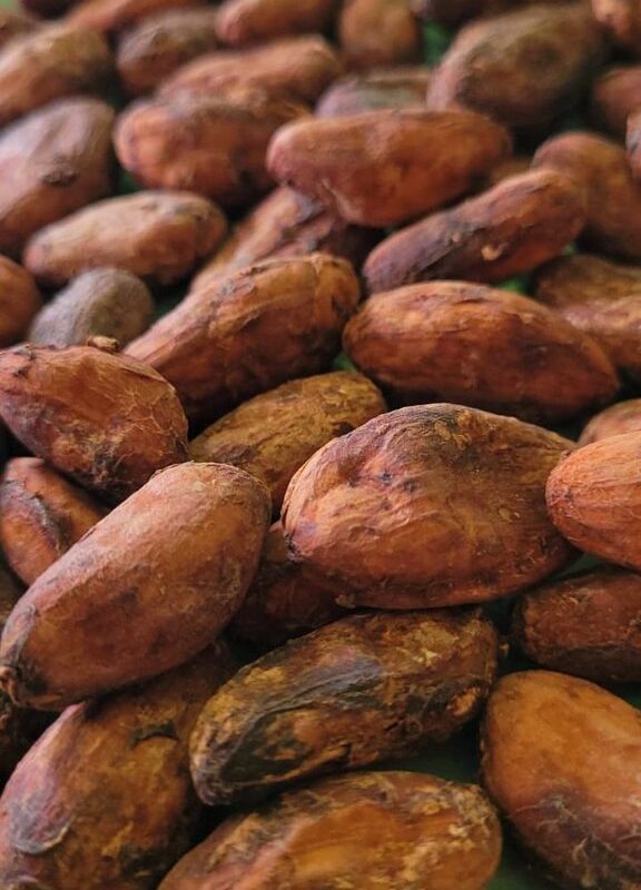 Cacao en grano - 200g