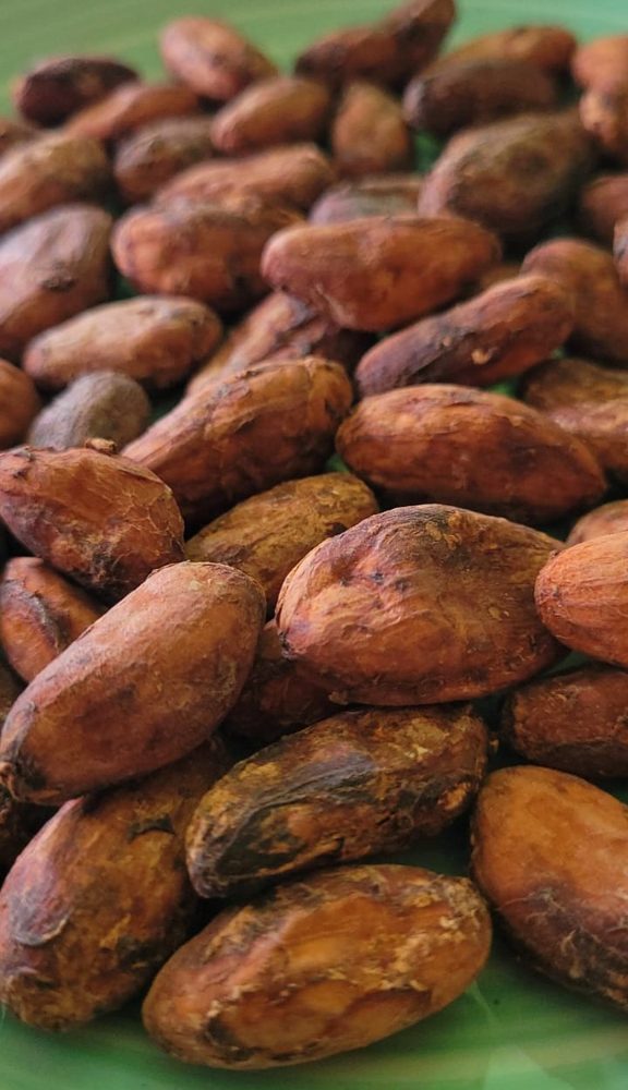 Cacao en grano - 200g